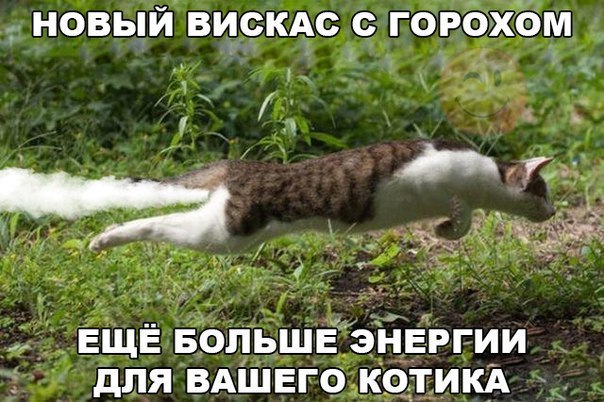 1605116833.jpg.jpeg