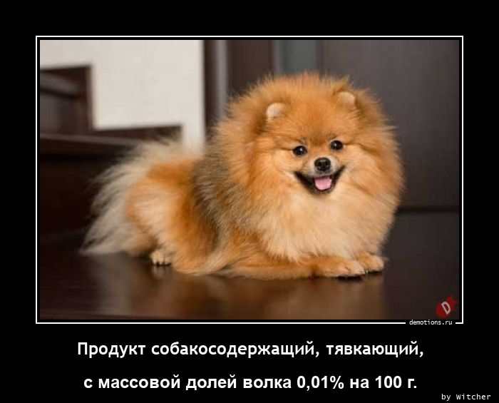 1627312194_Produkt-sobakosoderz_demotions.ru.jpg.jpeg