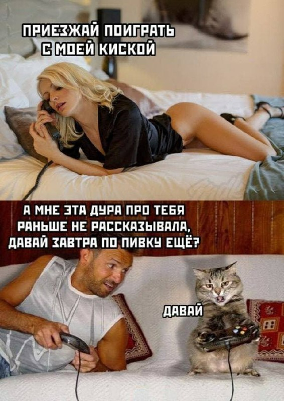 1678196851171943023.jpg.jpeg