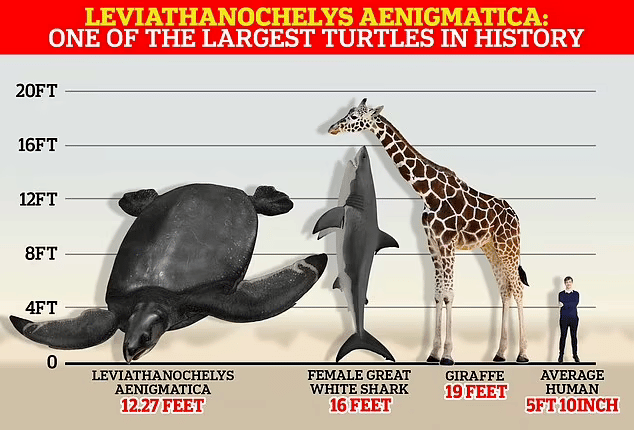 4841d351-f25f-42ef-811e-5f19d690ebe6.png.webp.png