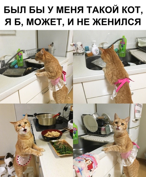 89LCFI4kTg4.jpg.jpeg