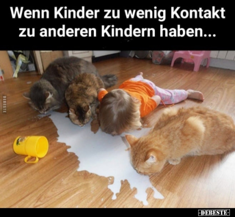 e21b383e4356cdb741388f46a1b6ac956410.png.webp.png