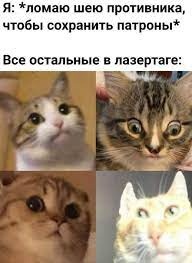 EL9wHgl_R84.jpg.jpeg