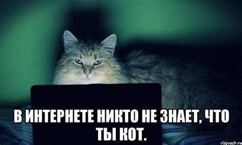 OIP.ie3JUR9RdDW6qEK9n-GgvQHaEc.jpeg