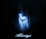 Severus3107