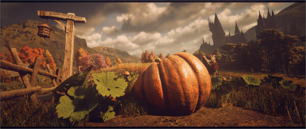Hogwarts Legacy №12