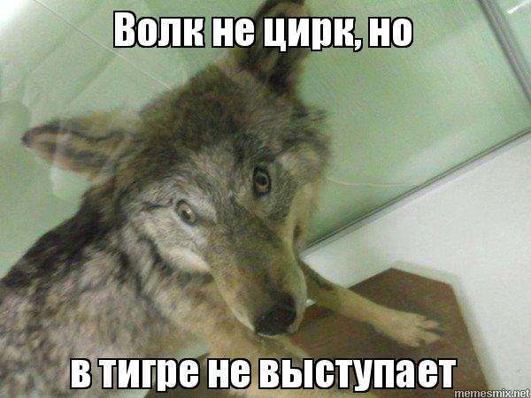 svvfro.jpg.jpeg