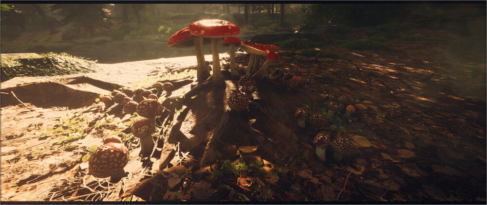 VwY4R.jpg.jpeg