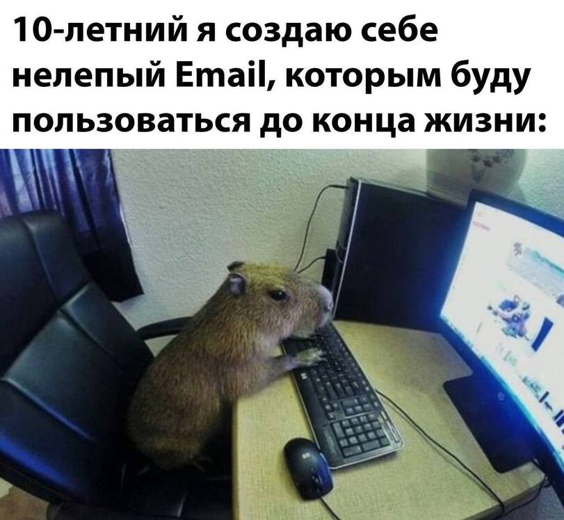 %D0%9F%D1%80%D0%B8%D0%BA%D0%BE%D0%BB%D1%8B-%D0%B4%D0%BB%D1%8F-%D0%B4%D0%B0%D1%83%D0%BD%D0%BE%D0%B2-%D1%80%D0%B0%D0%B7%D0%BD%D0%B.jpeg