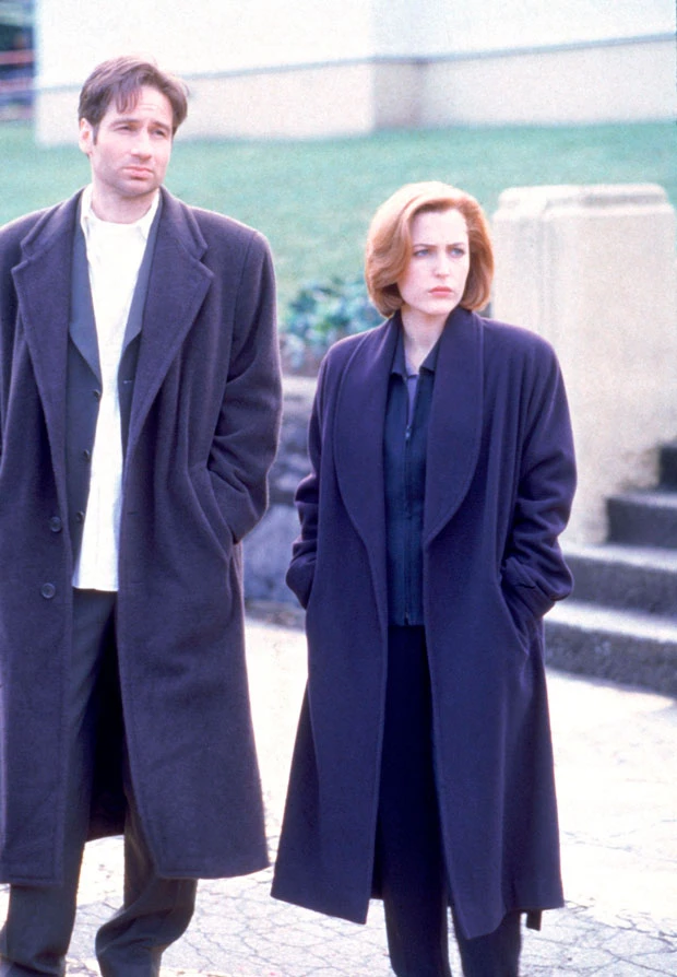 1533201993.jpg.webp