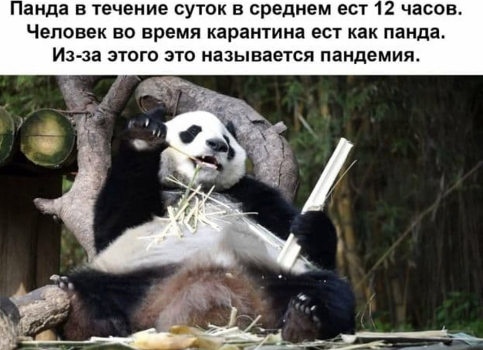 1587311753186380051.jpg.jpeg