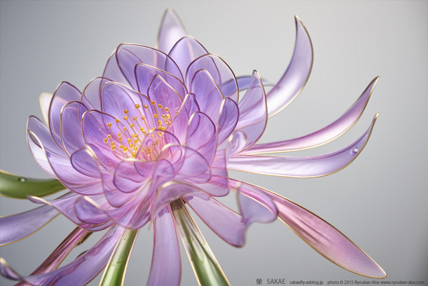 160675023412128401.png.webp.png