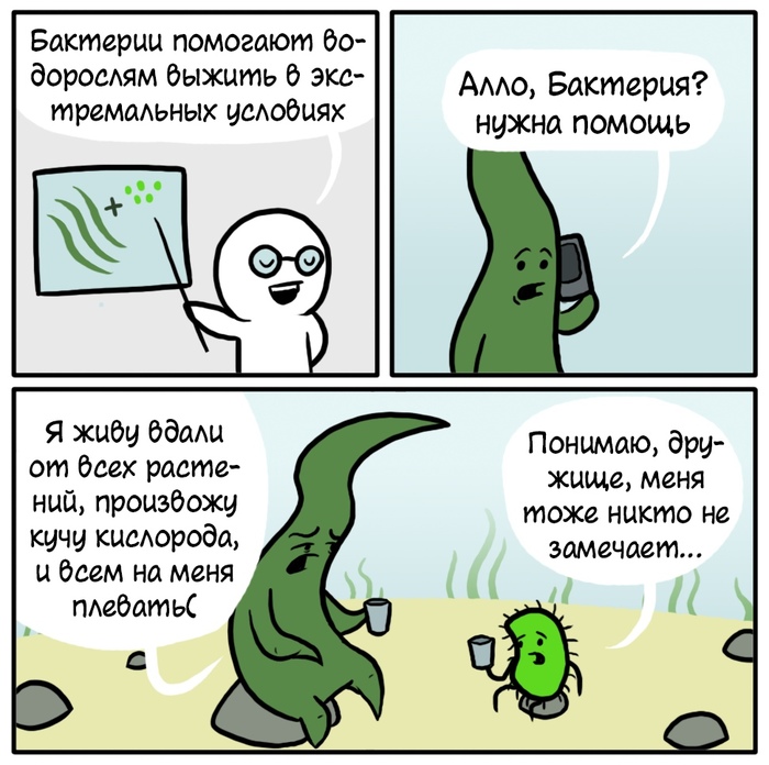 1607002066191430253.jpg.jpeg