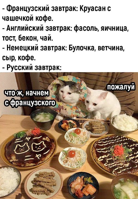 1669207153159290217.jpg.jpeg