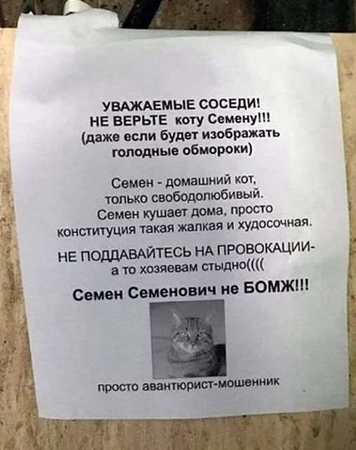 1669715248144166338.webp