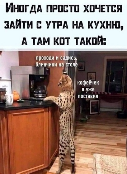 1681414260113995197.jpg.jpeg