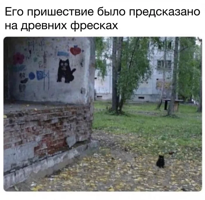 1681746037176331141.webp