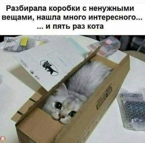 1682318358170462018.jpg.jpeg