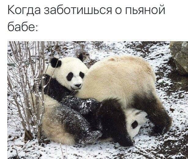 2330d3f1b44cb473ed478b65dac481f8.jpg.jpeg