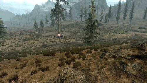 Подробнее о "Переработка ландшафта тундры / Tundra landscape rework Skyrim LE"