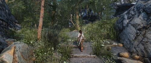 Подробнее о "Nature of the Wild Lands - forest and trees improvement mod"