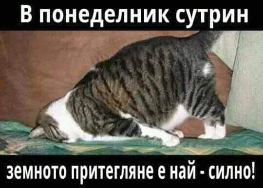 90887.jpg.jpeg