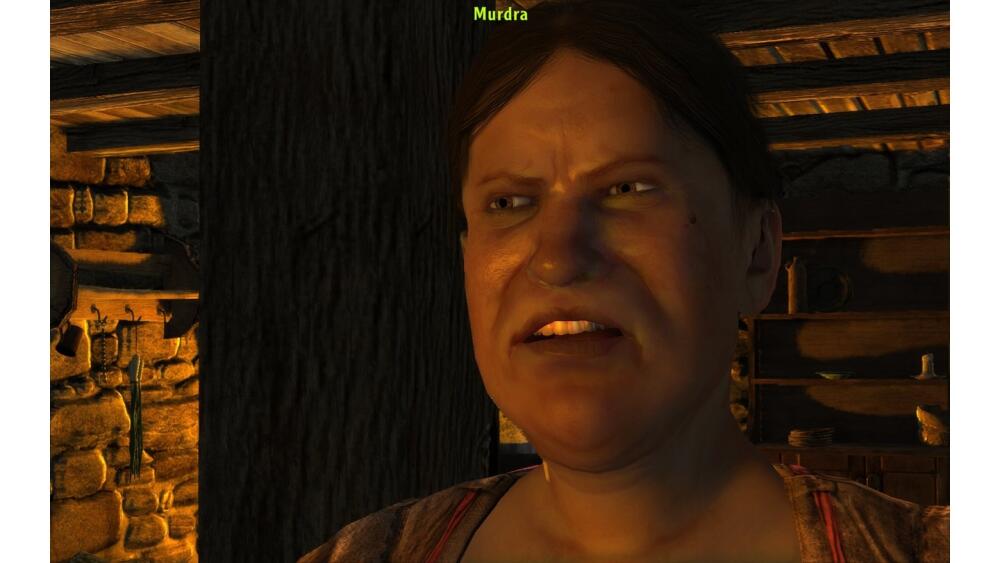 arcania-gothic-4_2184090.jpg.jpeg
