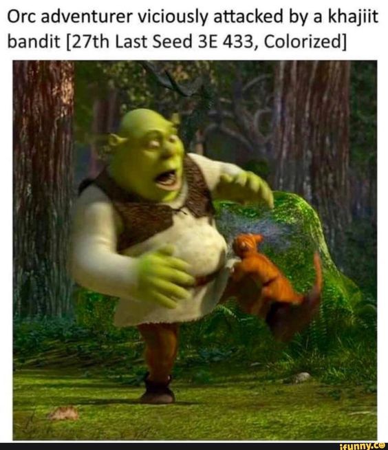 gZN-fhKizu8.jpg.jpeg