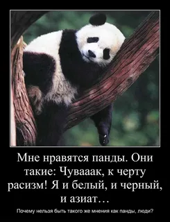 i.webp
