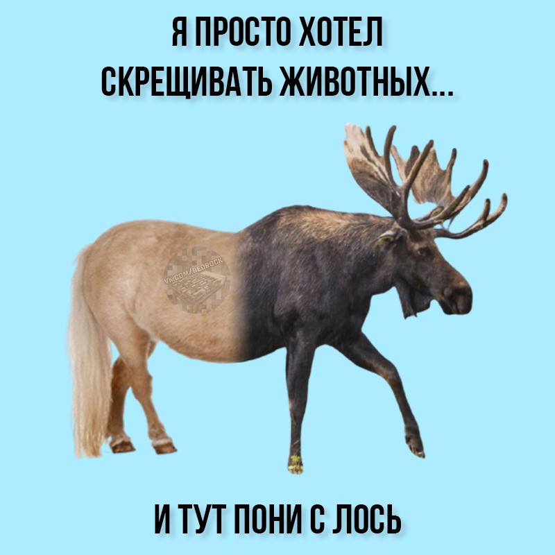 %D0%B8%D0%B3%D1%80%D0%B0-%D1%81%D0%BB%D0%BE%D0%B2-%D0%BF%D0%BE%D0%BD%D0%B8-%D0%BB%D0%BE%D1%81%D1%8C-6656623.jpg.jpeg