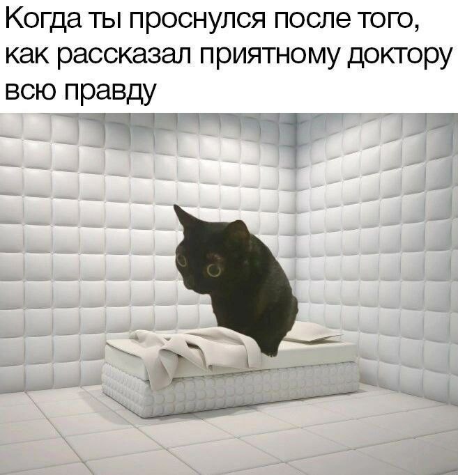 MDrBnKrg8ZE.jpg.jpeg