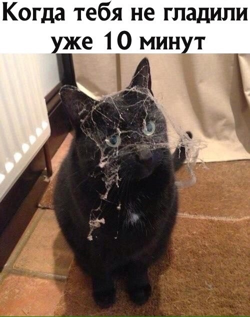 PfsoOy43t-I.jpg.jpeg