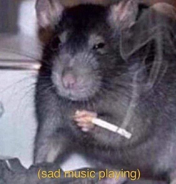 -Tde-jWHaS0.jpg.jpeg