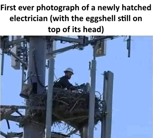 tumblr_6e52ad5f3e554e0e22c1573a816a6a7d_dc82c427_540.jpg.jpeg