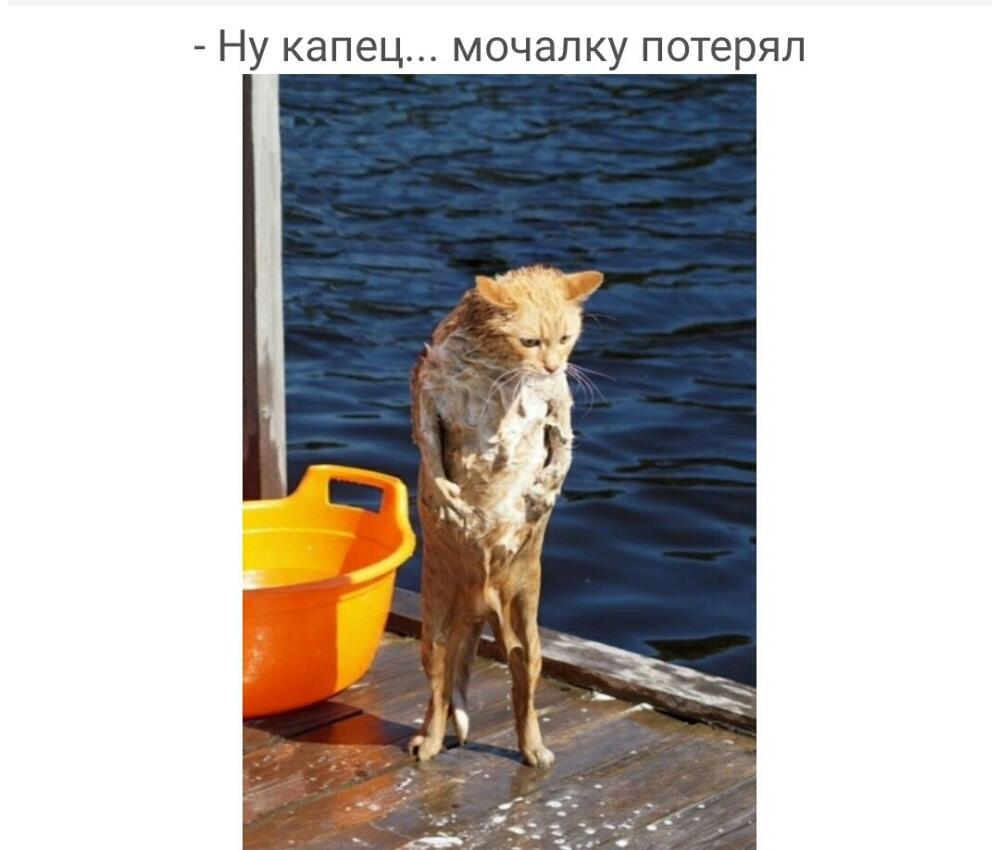 UID246847_1560675311_77.jpg.jpeg