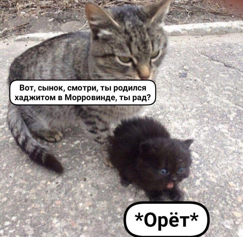 YbYzwpP8kG8.jpg.jpeg