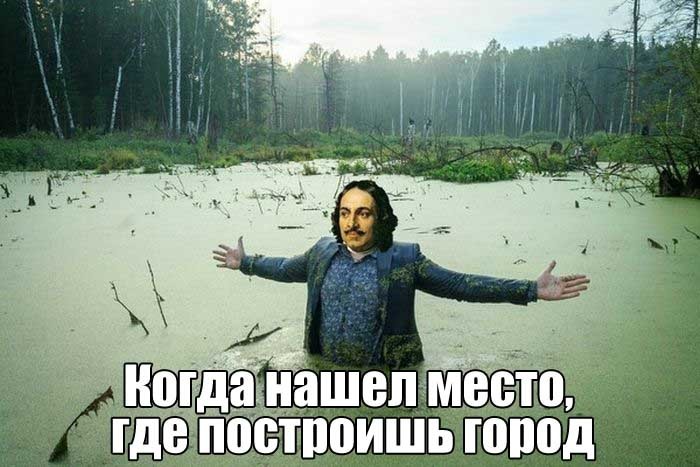 1485088955132082400.jpg.jpeg