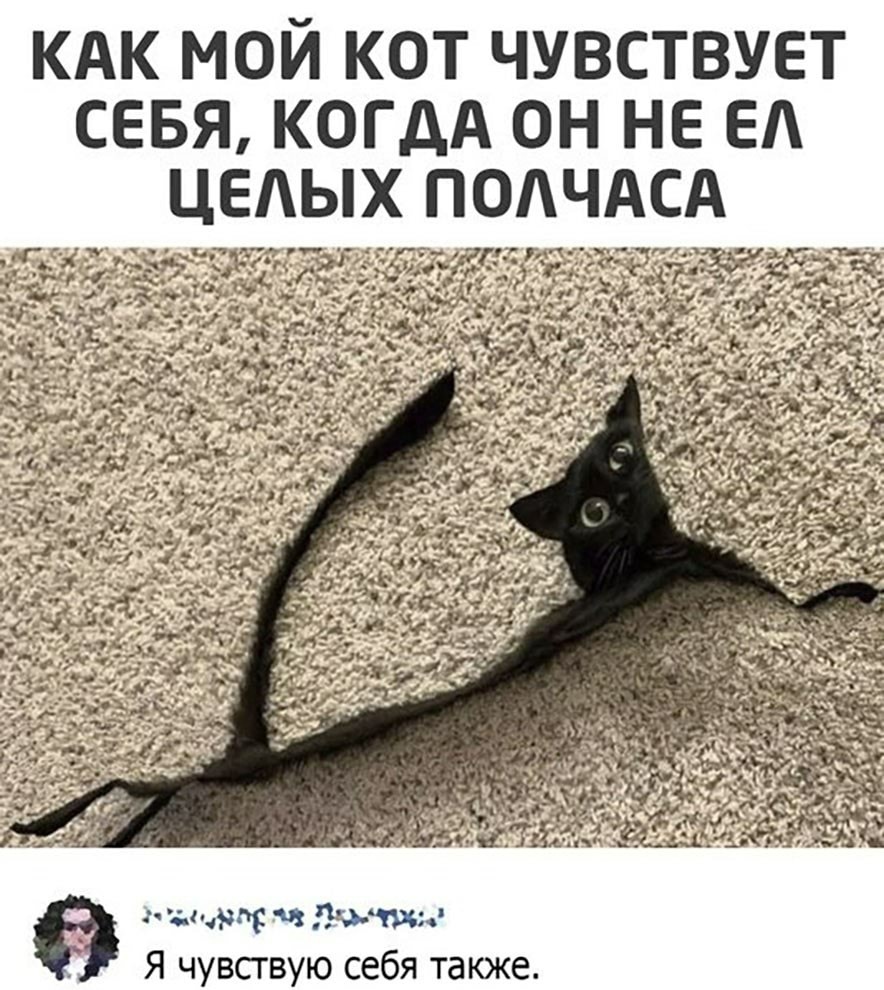 1624816549112292983.jpg.jpeg