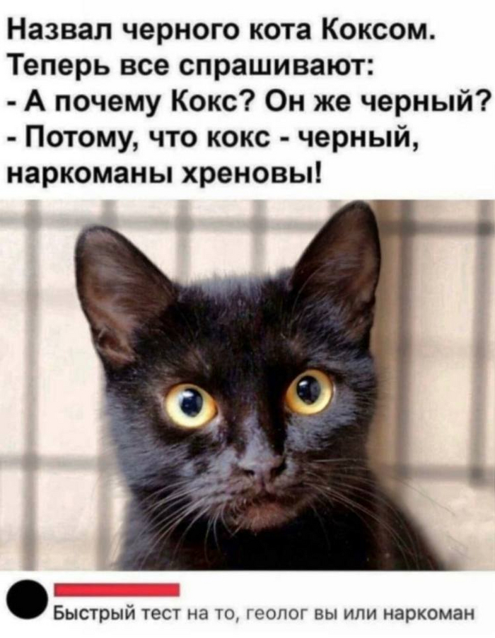 1660146253151972673.jpg.jpeg