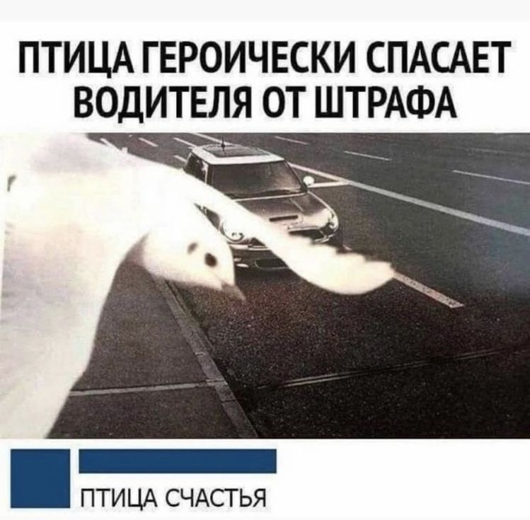 1682201624175030051.jpg.jpeg