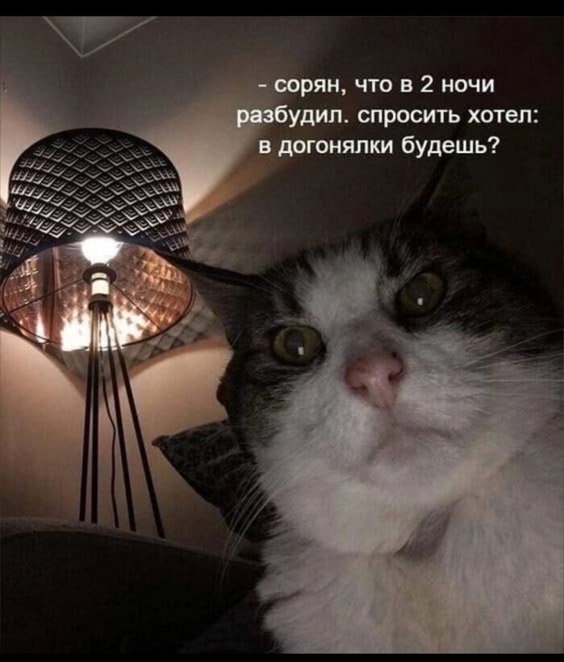 1MooToQMdco.jpg.jpeg