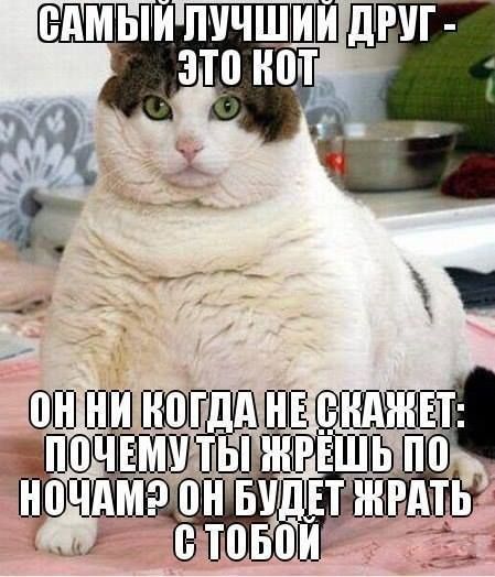 295165fb11f1ae762b5480bf333c19da.jpg.jpeg