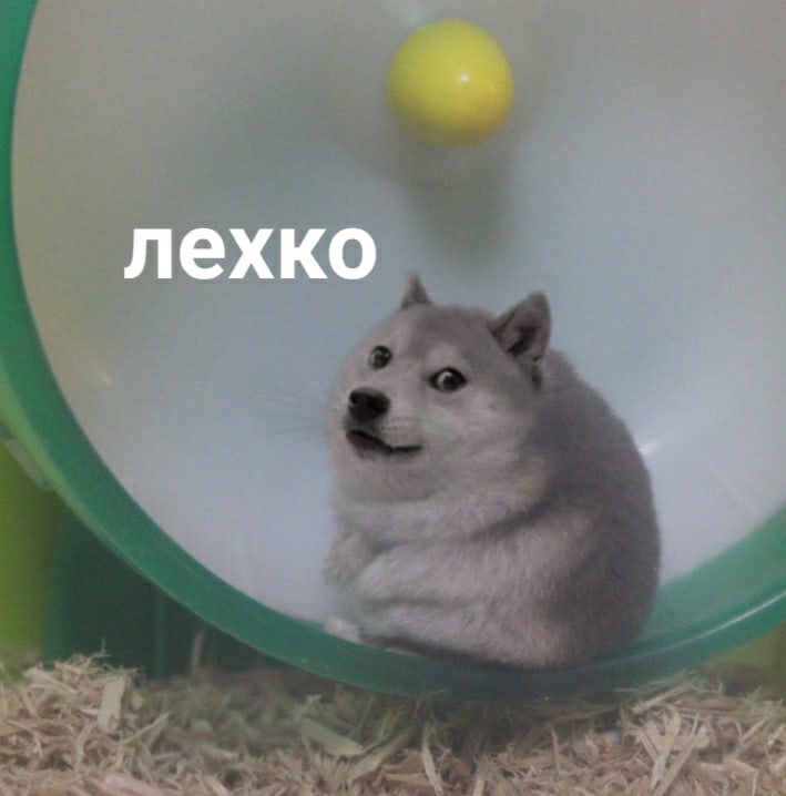 3Ue347JBptg.jpg.jpeg