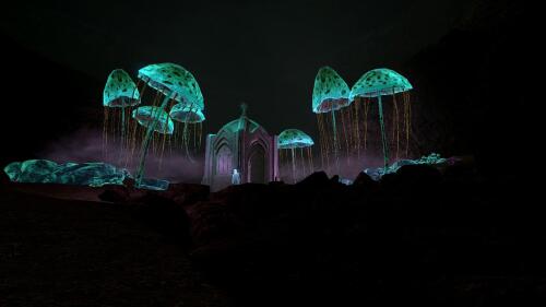 Подробнее о "Black Reach Mushrooms/Грибы Черного Предела"