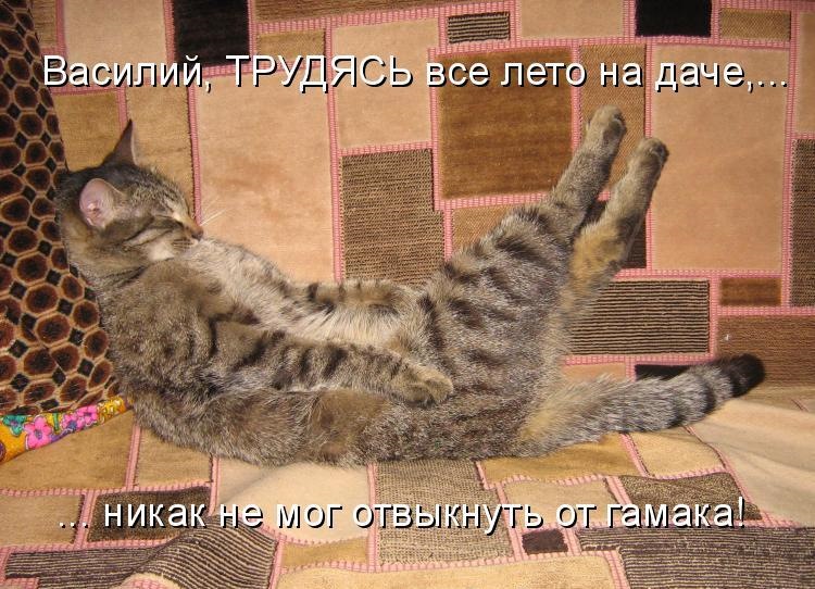 8e3a2cas-960.jpg.jpeg
