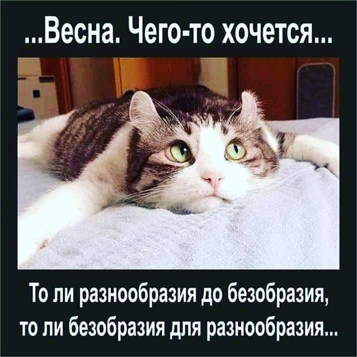 a4b93ade0bb3cd7ef41865b593d27e17.jpg.jpeg