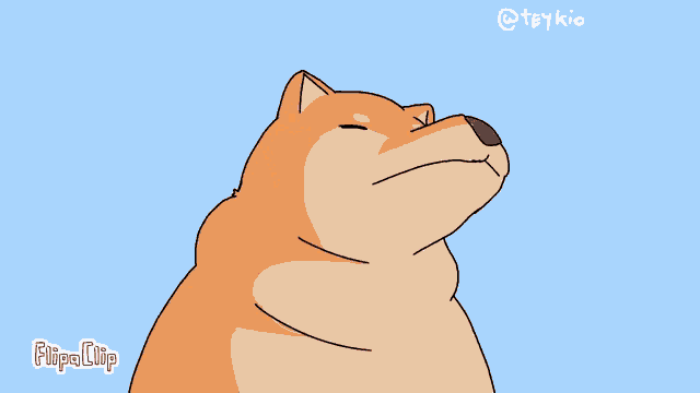 bonk-ultimate-bonk.gif