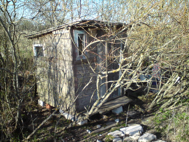 DSC00796.jpg.jpeg