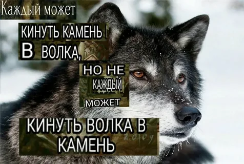 i.webp