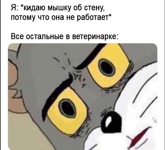 I1_0dnybEO8.jpg.jpeg